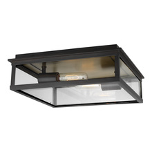  CO1182HTCP - Large Outdoor Flush Mount