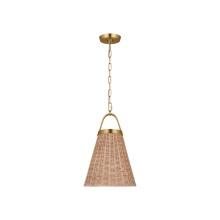 Visual Comfort & Co. Studio Collection CP1421BBS - Whitby Medium Pendant