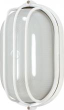 Nuvo 60/568 - 1-Light Oval Caged Die-Cast Bulkhead Light in Semi Gloss White with Glass Lens and (1) 13W GU24 Bulb