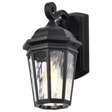  60/5945 - East River Collection Outdoor 12 inch Small Wall Light; Matte Black Finish with Clear Water Glass