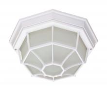  62/1419 - LED Spider Cage Fixture; White Finish with Frosted Glass