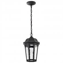  62/5944 - East River Collection; 1 Light Outdoor Hanging Fixture; LED; SMART - Starfish RGBTW; CCT Selectable;