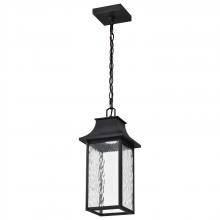  62/5996 - Austen Collection; 1 Light Outdoor Hanging Fixture; LED; SMART - Starfish RGBTW; CCT Selectable;