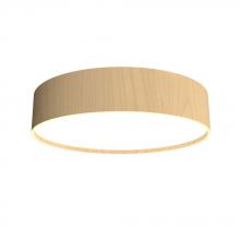  529LED.34 - Cylindrical Accord Ceiling Mounted 529 LED